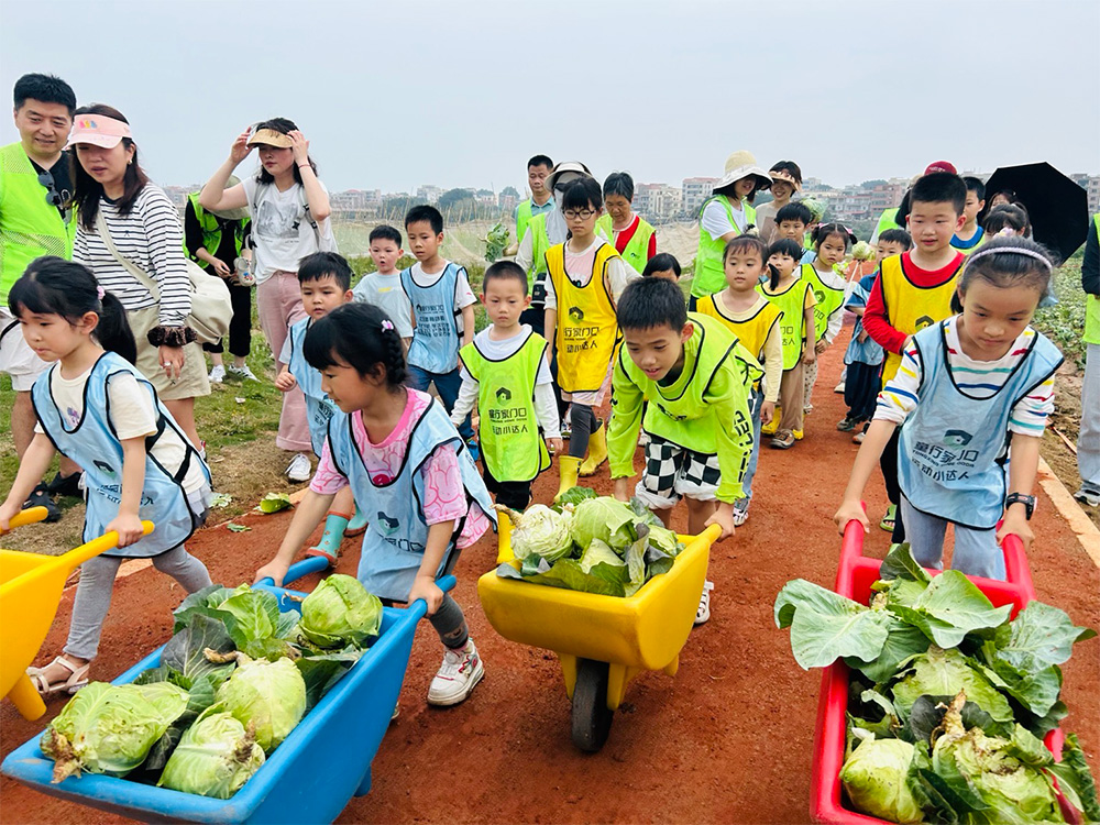 AI时代下，体育教育让孩子更有竞争力